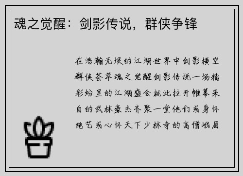 魂之觉醒：剑影传说，群侠争锋